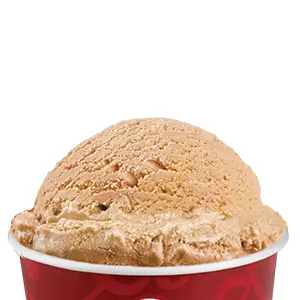 Pumpkin ice cream