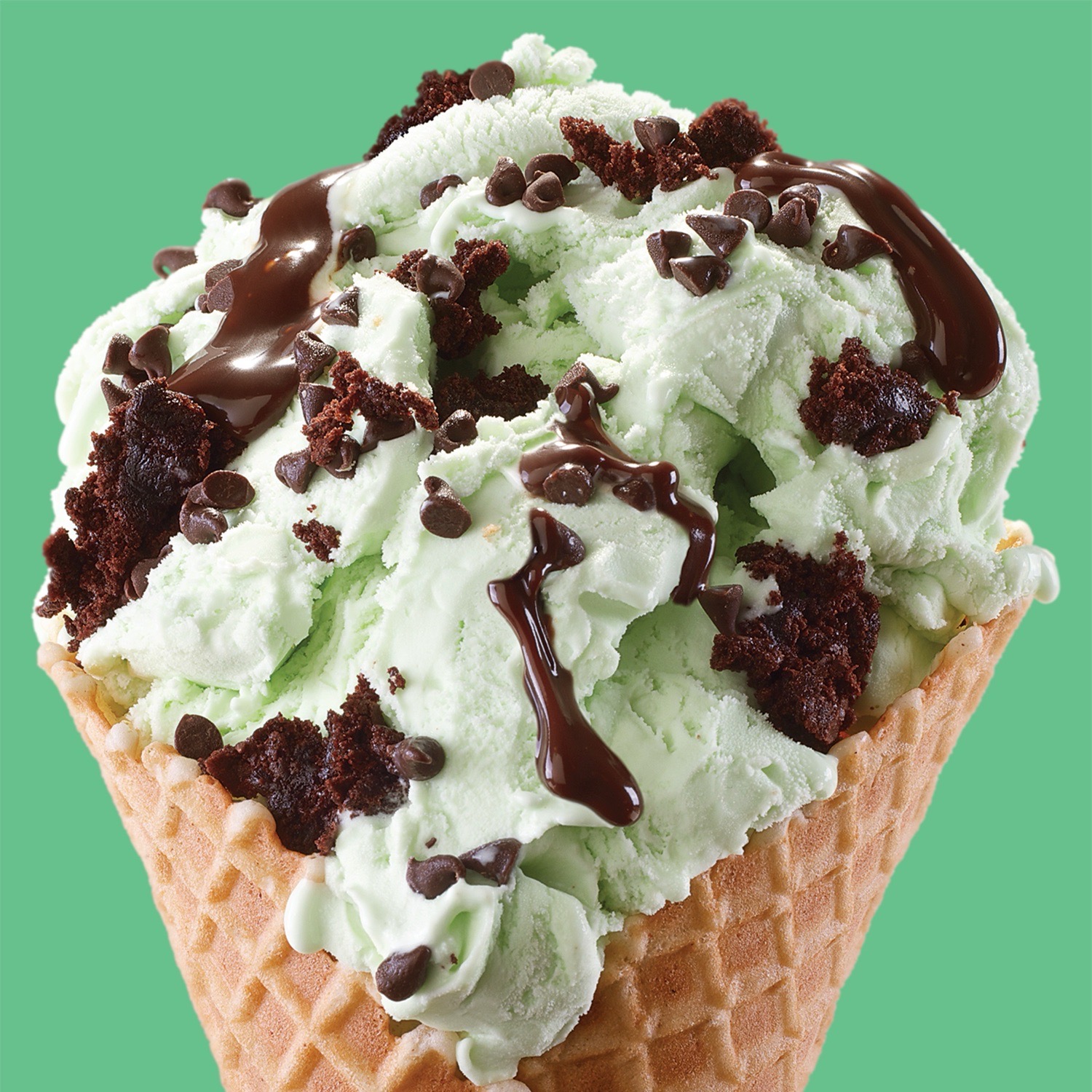 Mint Mint Chocolate Chocolate Chip®