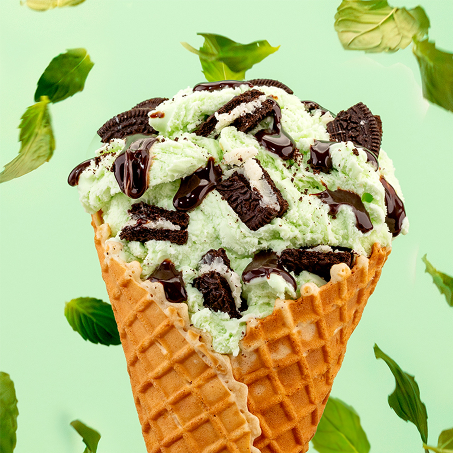 Mint Mint Chocolate Chocolate Chip®